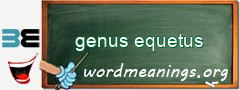 WordMeaning blackboard for genus equetus